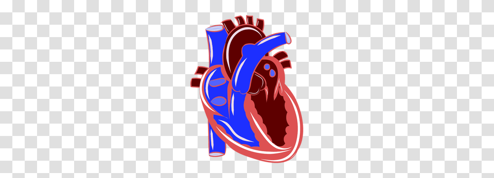 Medical Heart Clip Art Free, Leisure Activities, Mouth Transparent Png