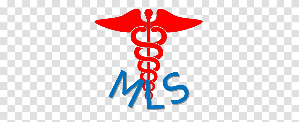 Medical Locum Services Find Your Next Job Here Home, Cross, Weapon, Weaponry Transparent Png