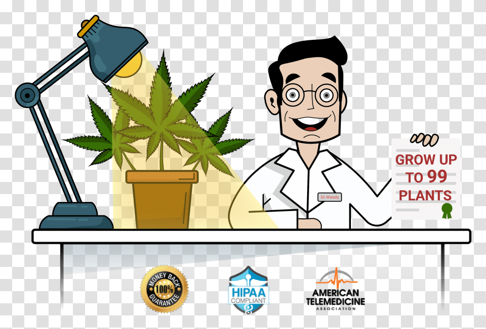 Medical Marijuana Card Online Cartoon, Logo, Trademark Transparent Png