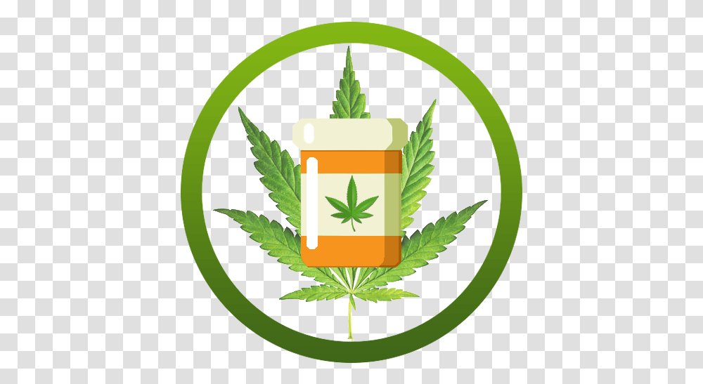Medical Marijuana Instagram Icon Digital Creative Products Foglia Marijuana, Plant, Weed Transparent Png