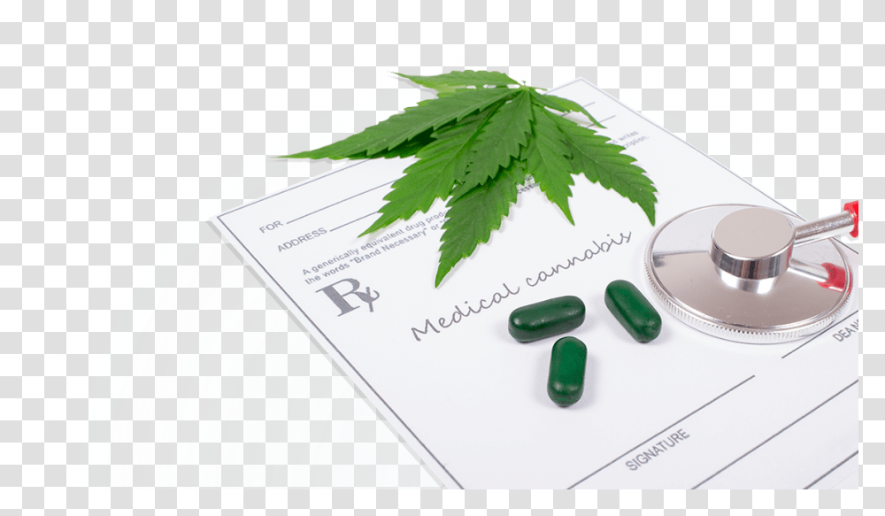 Medical Marijuana Paperwork And Stethescope Pill, Medication, Cooktop, Indoors, Plant Transparent Png