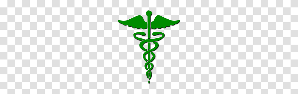 Medical, Spiral, Coil, Plant, Cross Transparent Png