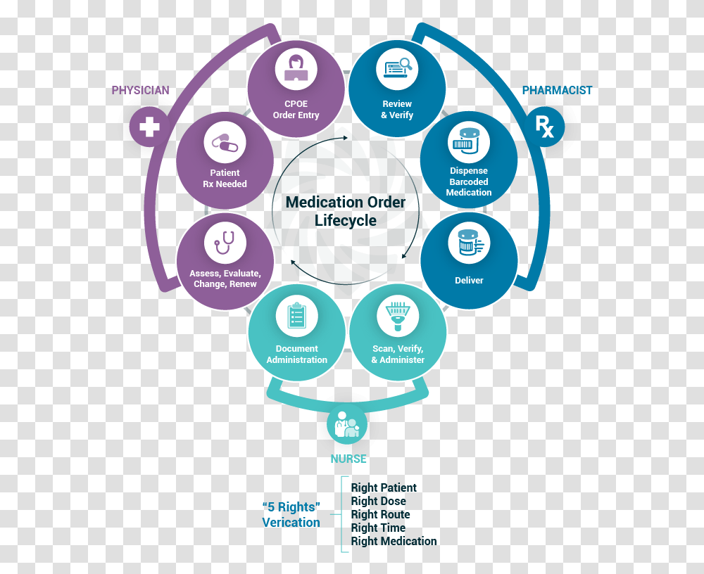 Medication Order Life Cycle, Diagram, Plot Transparent Png