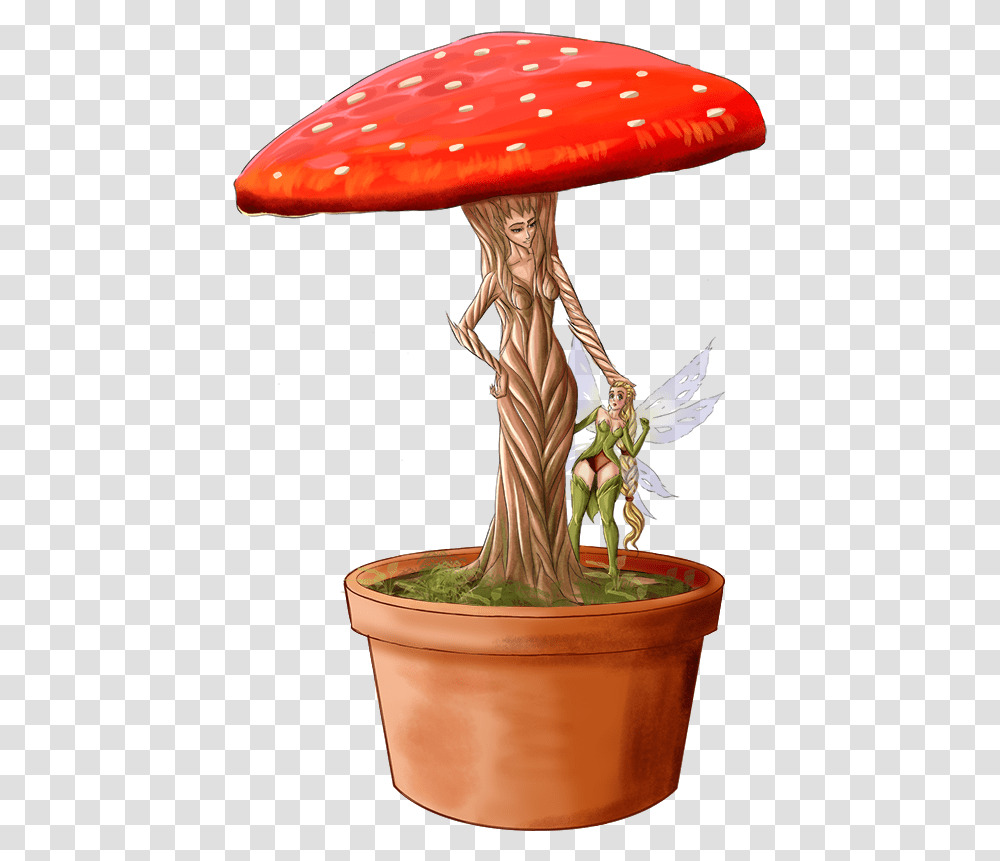 Medicinal Mushroom, Plant, Person, Human, Fungus Transparent Png