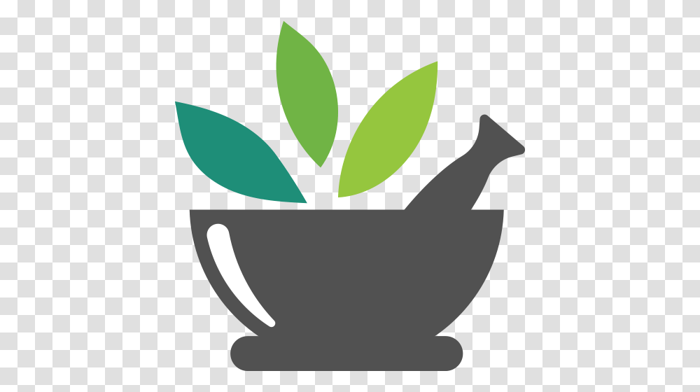 Medicine Clipart Herbal Medicine, Plant, Potted Plant, Vase, Jar Transparent Png