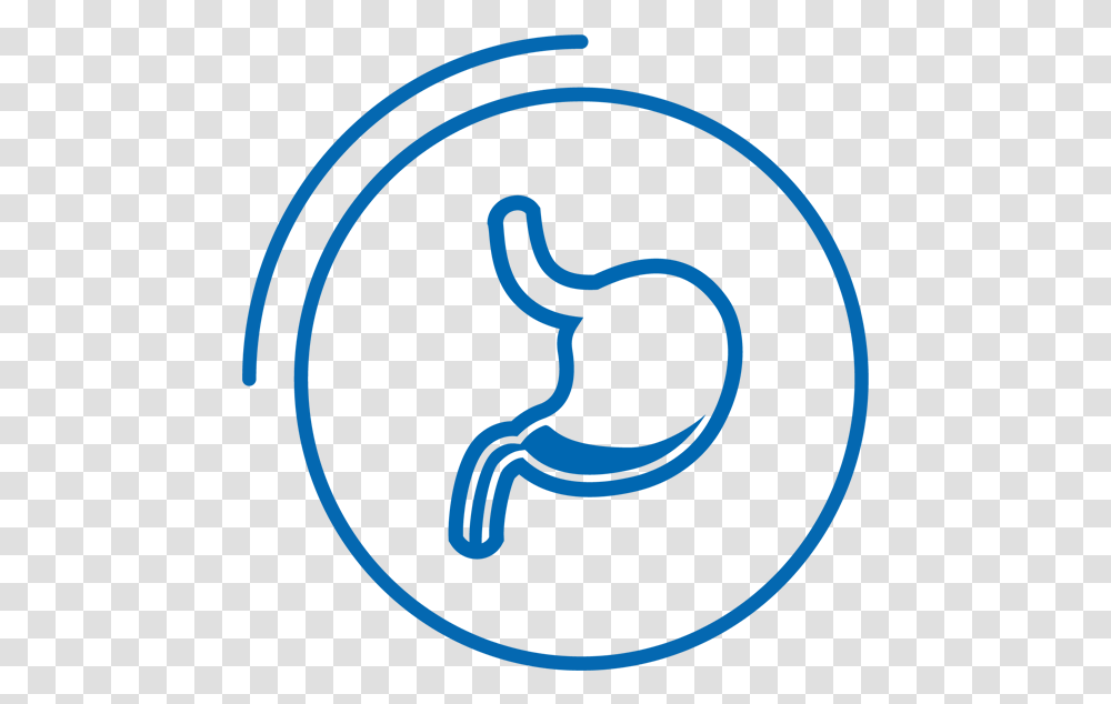 Medico Gastroenterologo Logo, Label, Sticker Transparent Png