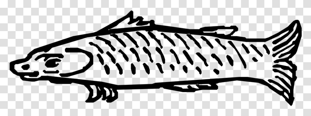Medieval Fish, Gray, World Of Warcraft Transparent Png