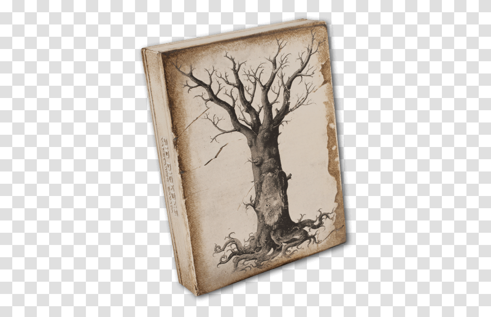 Medieval Tree Of Life Birch, Plant, Canvas, Book, Art Transparent Png