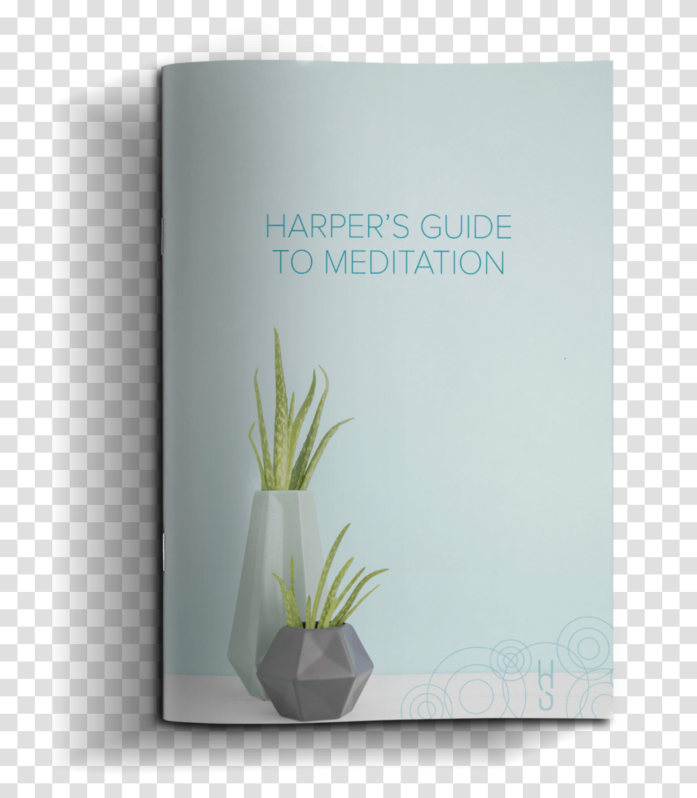 Meditation Agave, Plant, Vase, Jar, Pottery Transparent Png