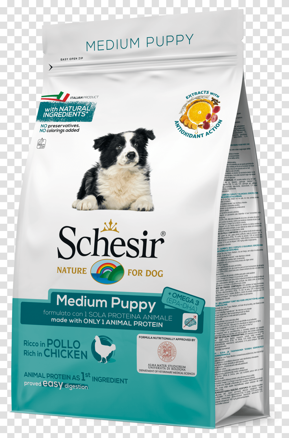 Medium Puppy With Chicken Schesir Sterilized Light, Dog, Flyer, Poster, Paper Transparent Png