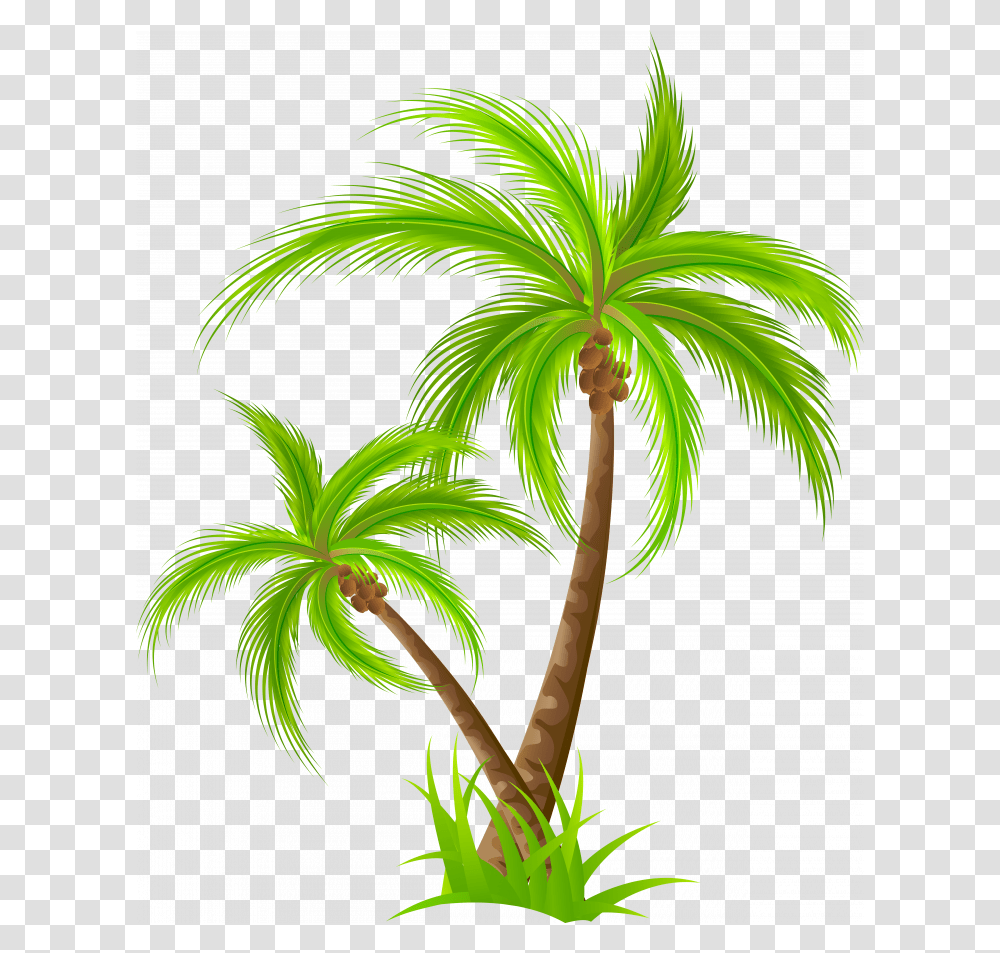 Medium Size Of Christmas Tree Palm Tree Clipart, Plant, Arecaceae, Bird, Animal Transparent Png