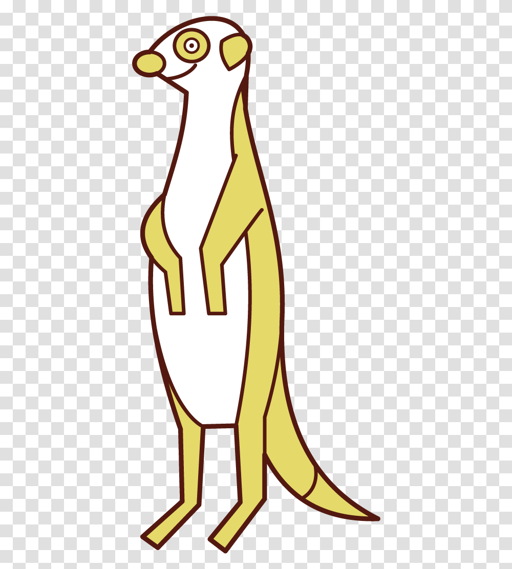 Meerkat Illustration Animal Figure, Label, Text, Number, Symbol Transparent Png