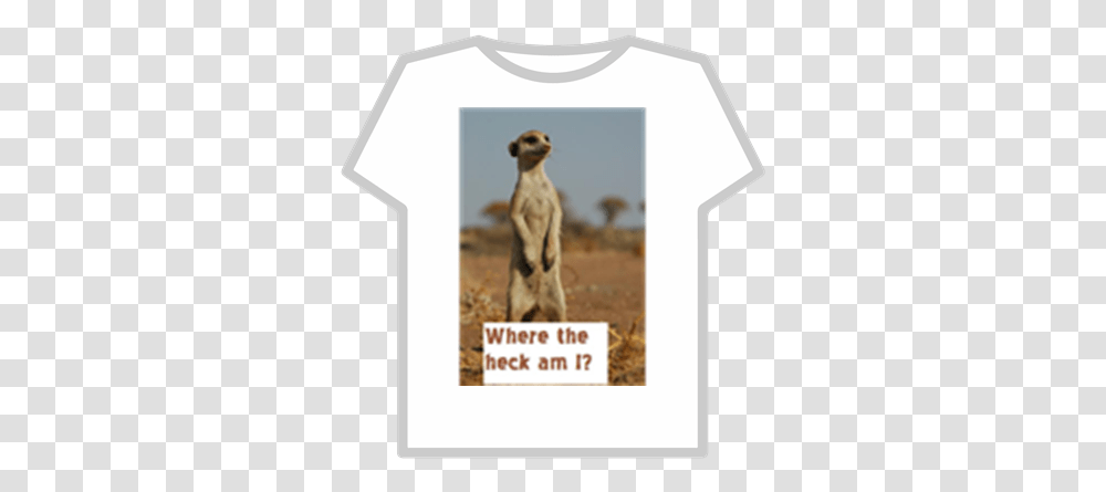 Meerkat Madness Roblox Denis Roblox T Shirt, Clothing, Animal, Mammal, T-Shirt Transparent Png