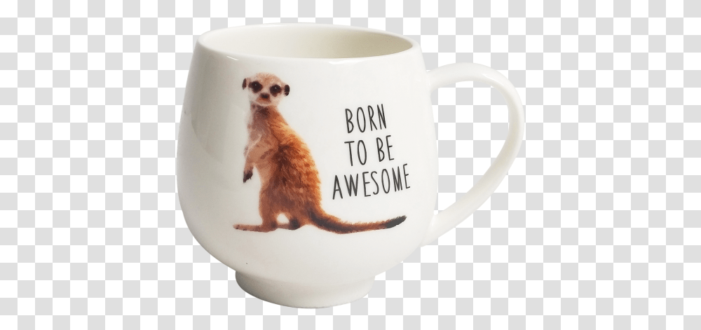 Meerkat Mug 9cm, Coffee Cup, Mammal, Animal, Soil Transparent Png