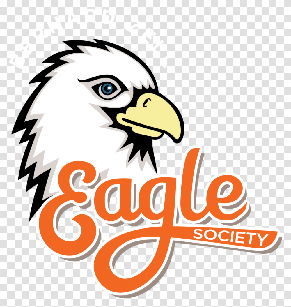 Meet Our Incredible Alumni Bald Eagle, Bird, Animal, Beak, Poster Transparent Png