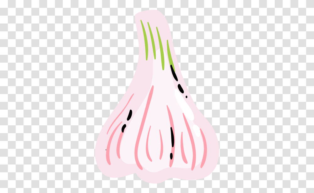 Meet Sam - Go Garlic Free Lovely, Plant, Vegetable, Food, Produce Transparent Png