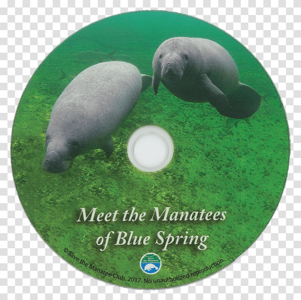 Meet The Manatees Of Blue Spring Dvd Marine Mammal, Animal, Disk Transparent Png