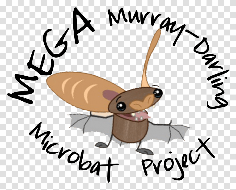 Mega Bat Project Final Mega Murray Darling Microbat Project, Invertebrate, Animal, Insect, Cockroach Transparent Png