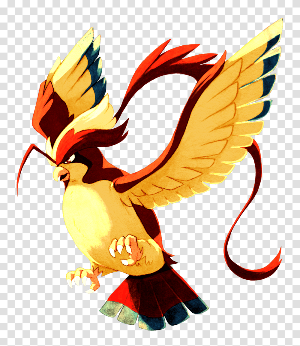 Mega Pidgeot, Eagle, Bird, Animal Transparent Png