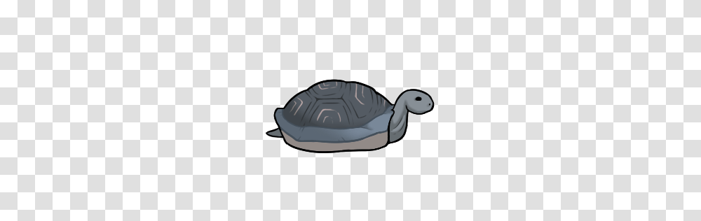 Megalochelys Megafauna, Tortoise, Turtle, Reptile, Sea Life Transparent Png