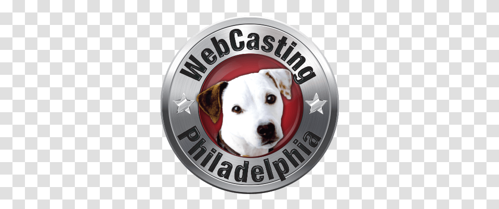 Megan Fox Wonder Woman Webcast Video Production & Green Pit Bull, Label, Text, Logo, Symbol Transparent Png