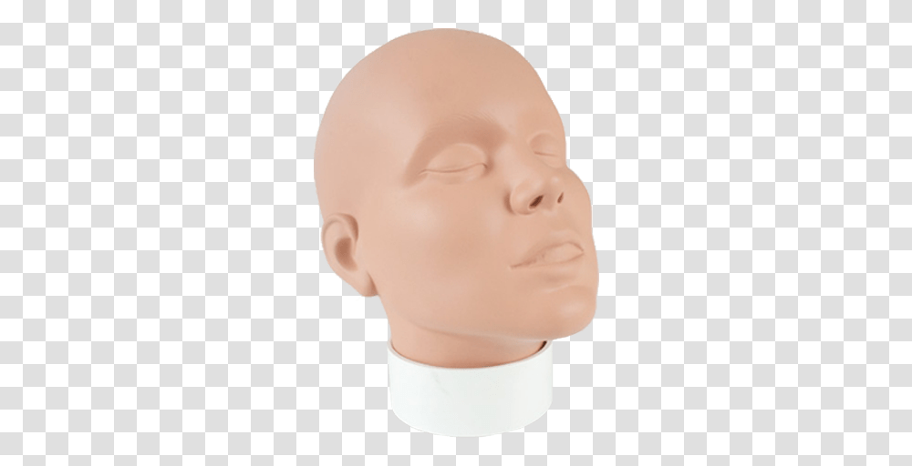 Mehron Practice Head Hair Loss, Person, Human, Skin, Face Transparent Png