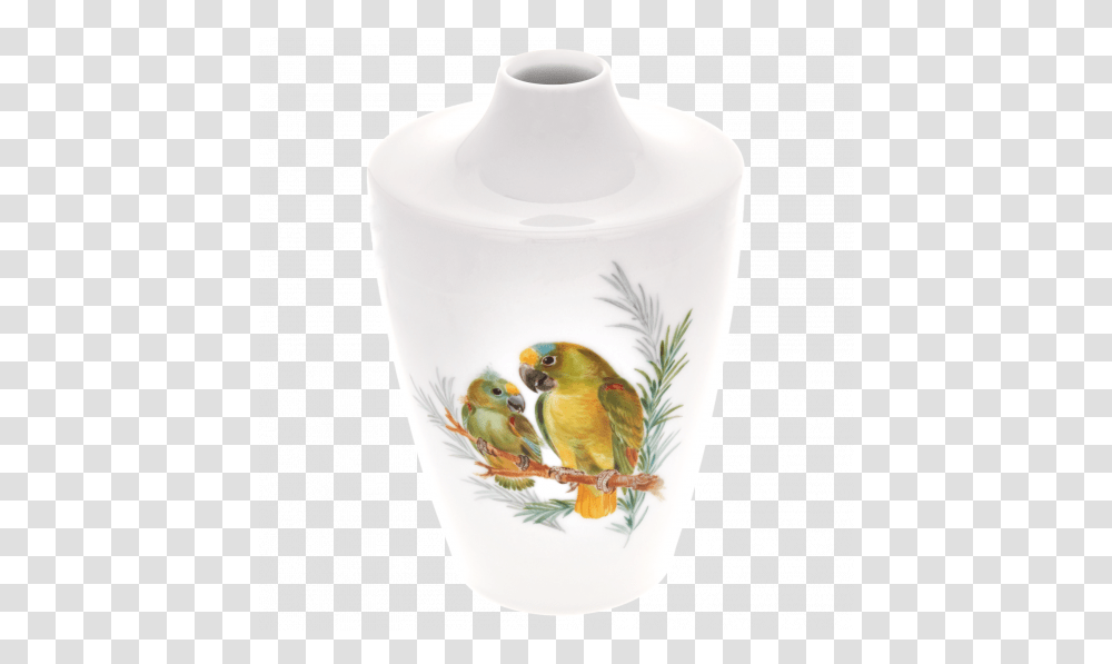 Meissen Cosmopolitan Bird Painting Serveware, Animal, Pottery, Jar, Porcelain Transparent Png