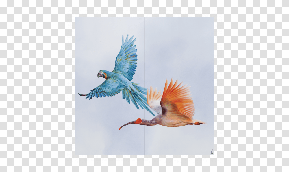 Meissen Flock Of Birds Wall Painting Macaw And Ibis Macaw Wall Painting, Animal, Flying, Flamingo, Stork Transparent Png