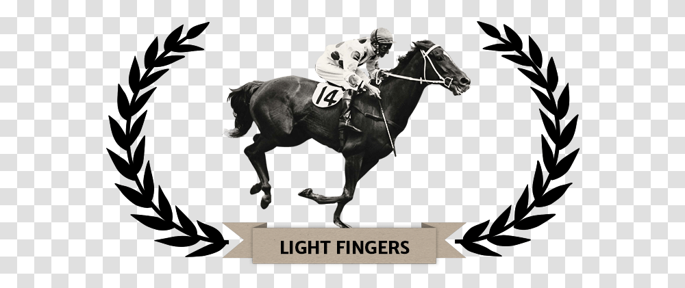 Melbourne Cup Winner Comic Court, Horse, Mammal, Animal, Person Transparent Png