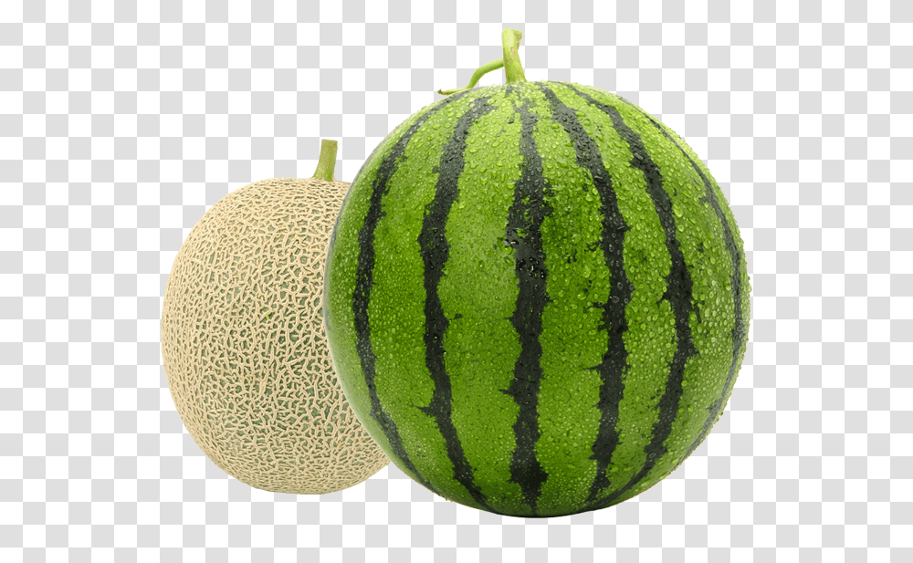 Mello Watermelon And Cantaloupe Watermelon, Plant, Fruit, Food, Tennis Ball Transparent Png