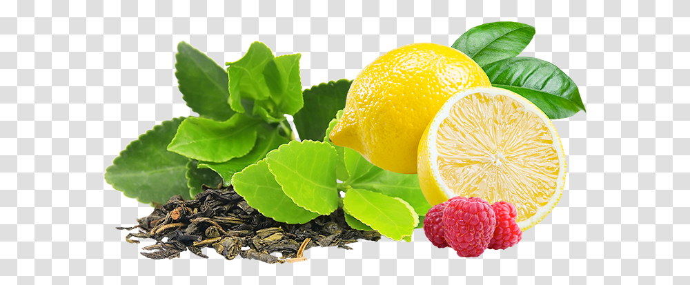 Mellow Mood Archives Marley Green Tea Leaf, Plant, Citrus Fruit, Food, Orange Transparent Png