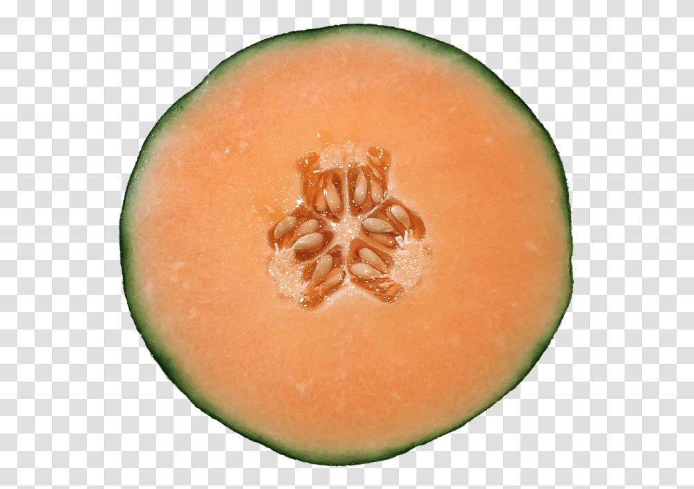 Melon Cantaloupe Orange Free Image On Pixabay Animation, Fruit, Plant, Food, Egg Transparent Png