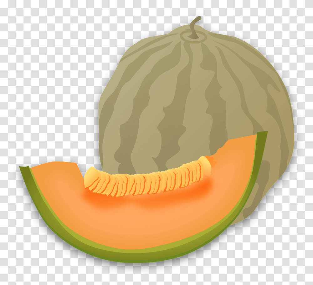 Melon Clipart, Plant, Fruit, Food, Fungus Transparent Png