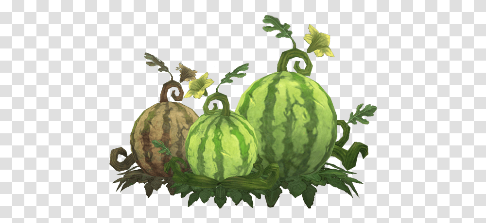 Melon Clipart Tree, Plant, Fruit, Food, Watermelon Transparent Png