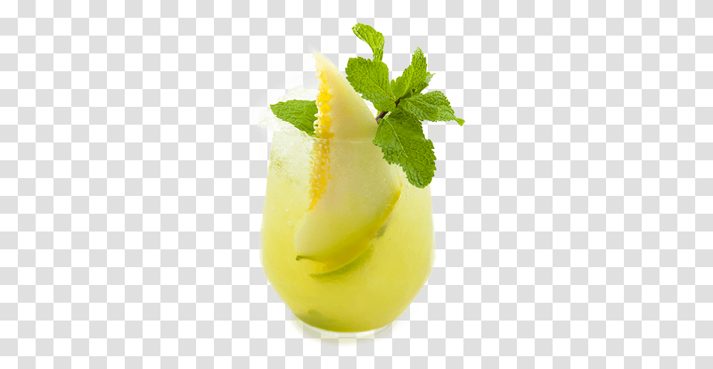 Melon Cocktail Mai Tai, Lemonade, Beverage, Drink, Potted Plant Transparent Png