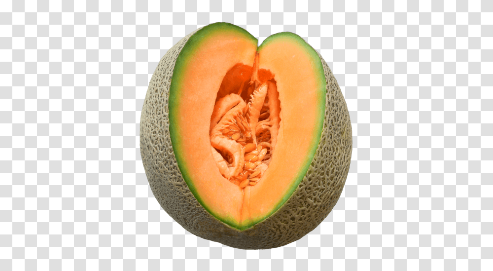 Melon Cut, Fruit, Plant, Food Transparent Png