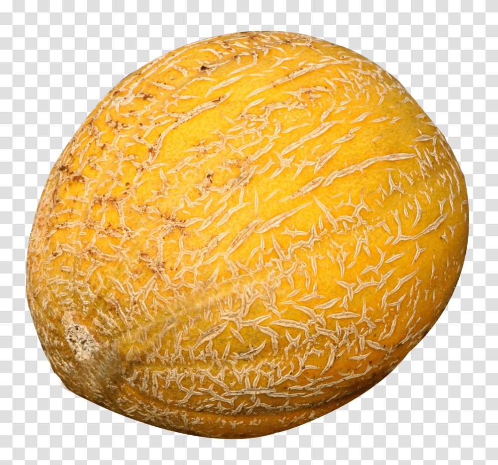 Melon, Fruit, Plant, Food, Person Transparent Png