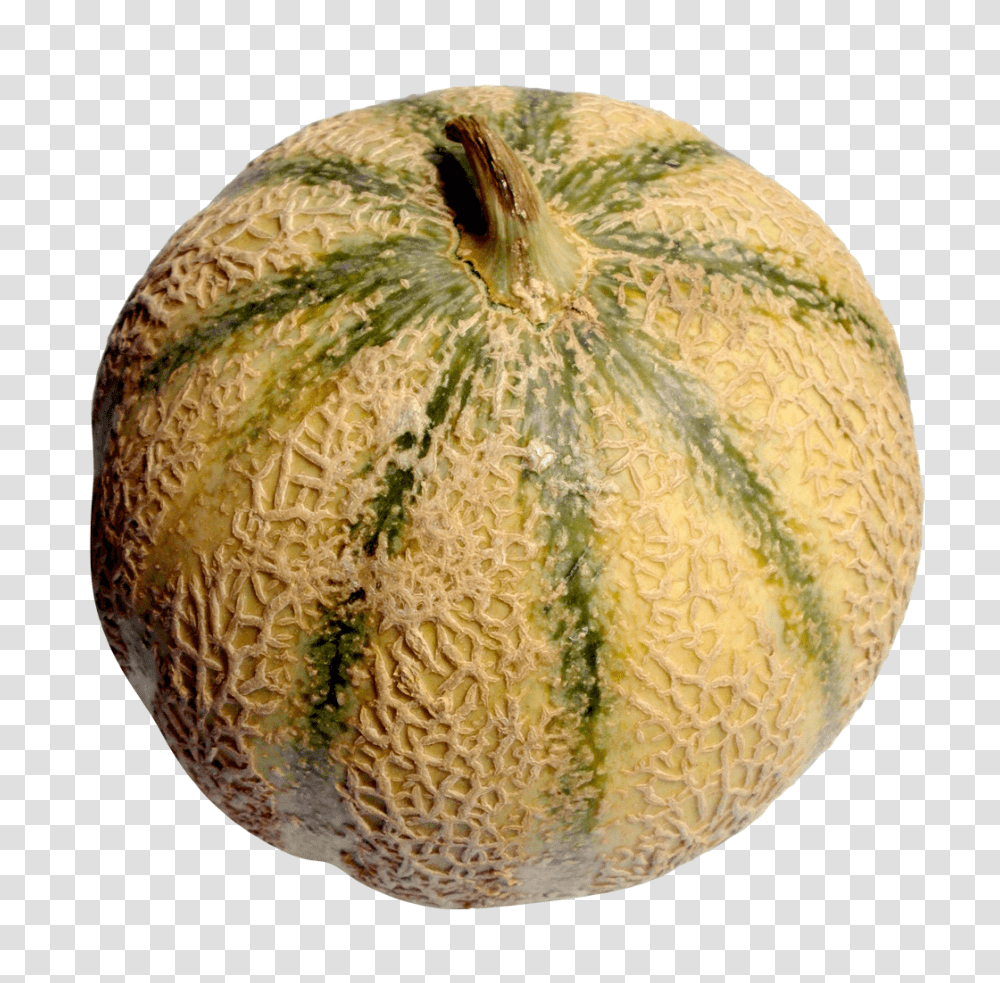 Melon, Fruit, Plant, Food, Pineapple Transparent Png
