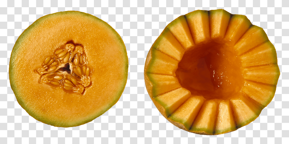 Melon, Fruit, Plant, Food, Sliced Transparent Png