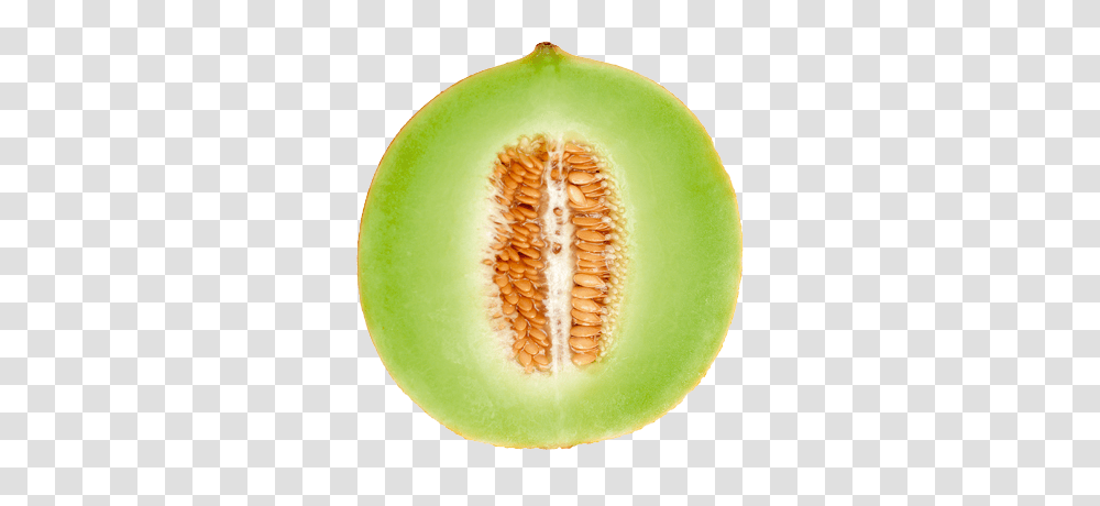 Melon, Fruit, Plant, Food, Tennis Ball Transparent Png
