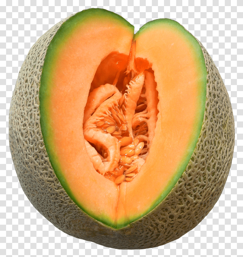 Melon, Fruit, Plant, Food Transparent Png