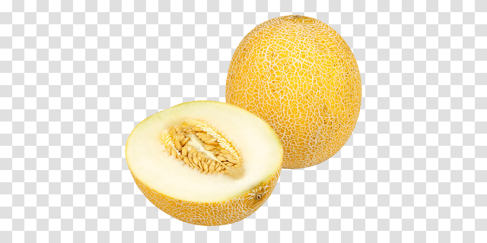 Melon, Fruit, Plant, Food Transparent Png