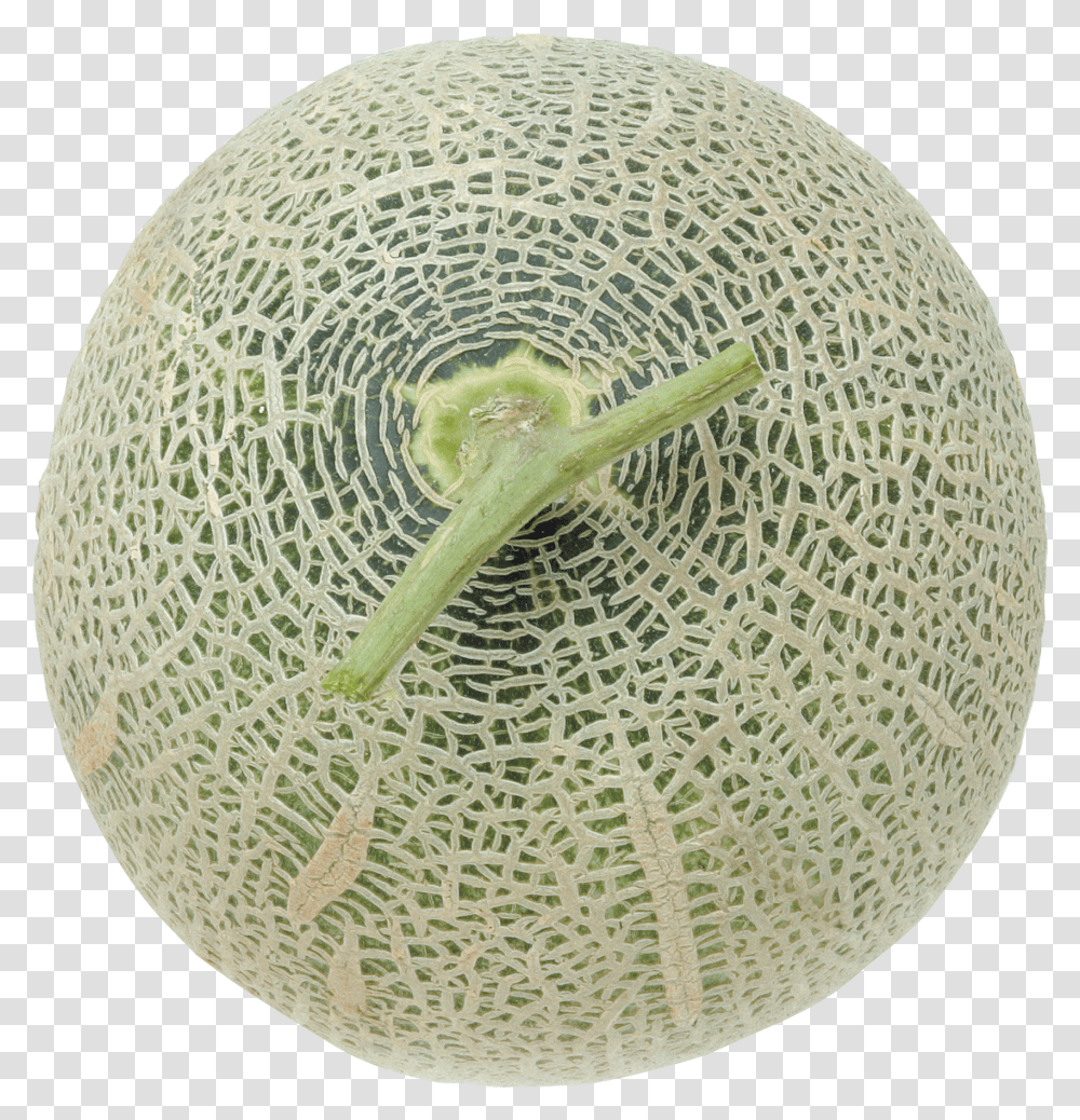 Melon, Fruit Transparent Png