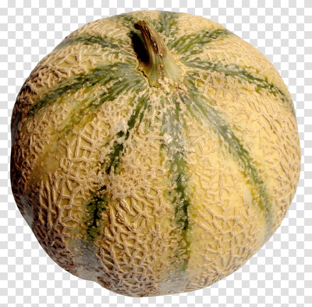 Melon Melon, Fruit, Plant, Food, Pineapple Transparent Png