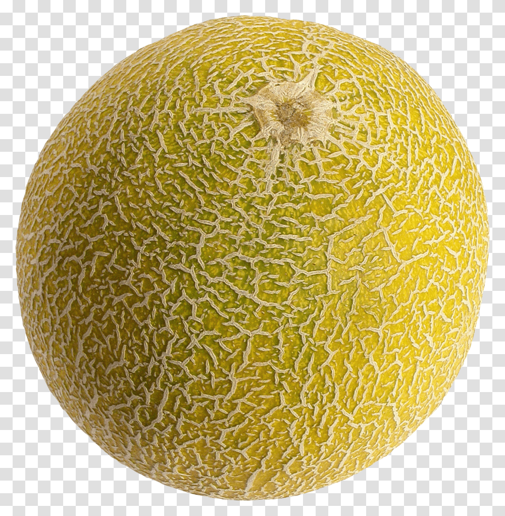 Melon Transparent Png