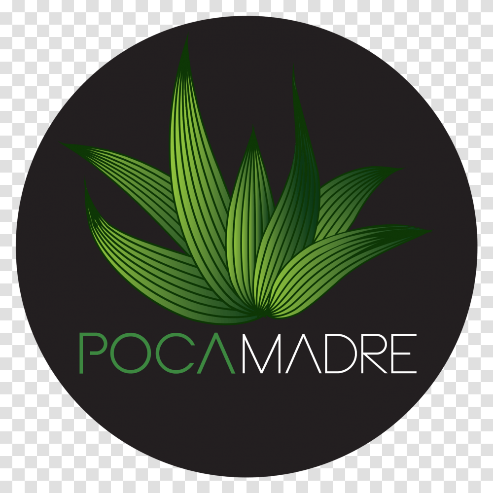 Member Image Circle, Plant, Logo, Pineapple Transparent Png