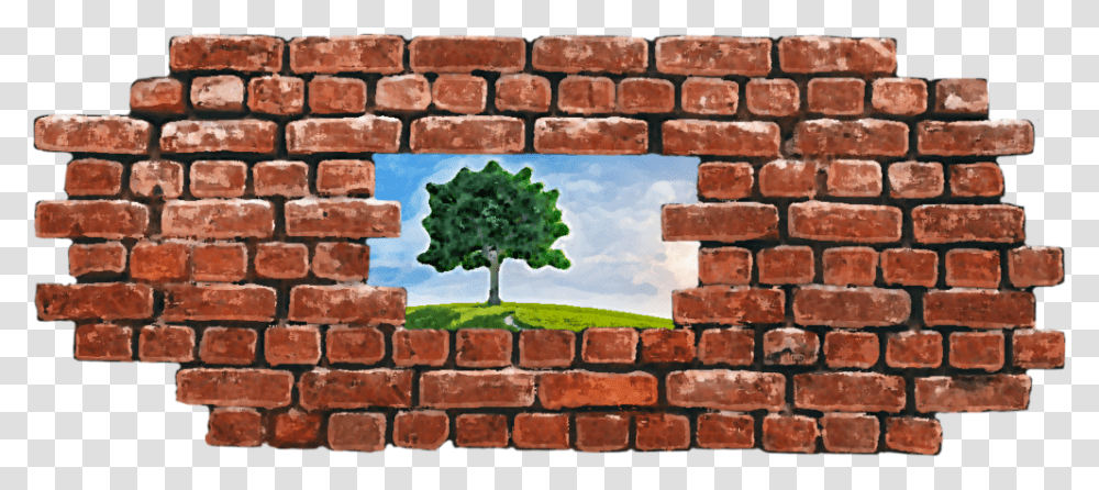 Members Of The Brickwork, Wall, Plant, Tree, Moss Transparent Png