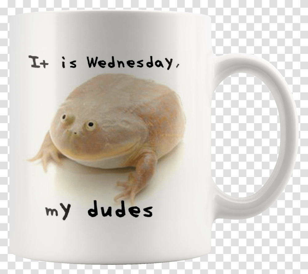 Meme Coffee Mugs, Coffee Cup, Animal, Wildlife, Amphibian Transparent Png