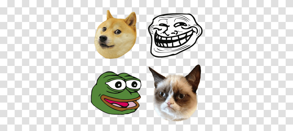 Memes Images 9gag Troll Face, Cat, Pet, Mammal, Animal Transparent Png