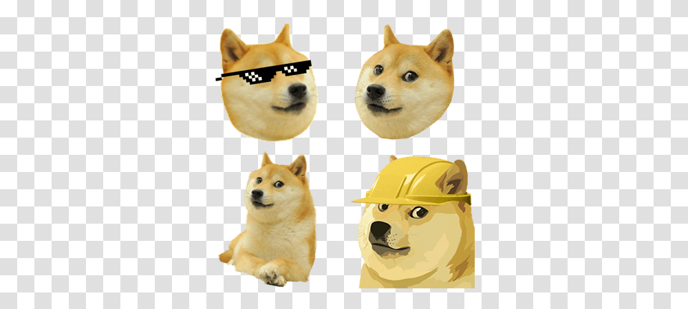 Memes Images Doge Meme Background, Clothing, Pet, Canine, Animal Transparent Png